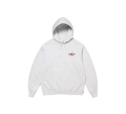 Supreme Jordan Hooded Sweatshirt (FW24) - Ash Grey